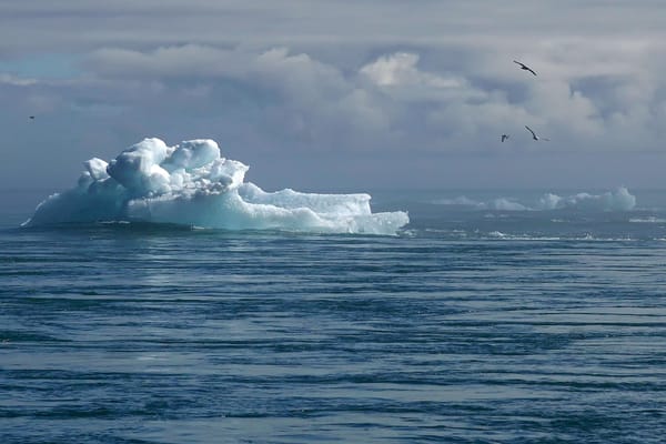 AI's climate impact is still a black box